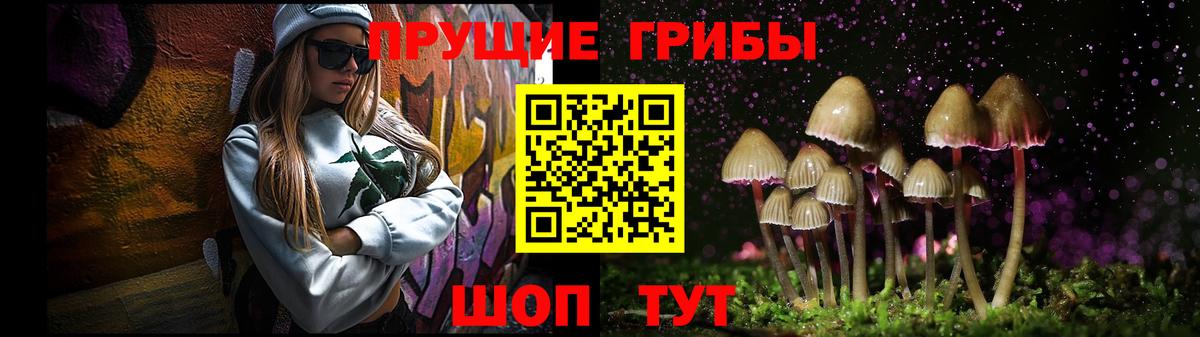 Мурино  Псилоцибиновые грибы мухоморы  Вход с VPN 