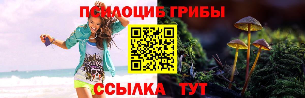 Галлюциногенные грибы ЛСД Мурино